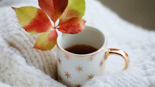 Cup, Leaf, Tea, Wallpapers Free Download For Desktop