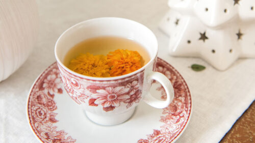Cup, Tea, Drink, Wallpapers Free Download For Desktop