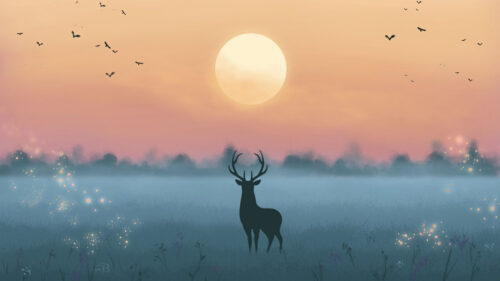 Deer, Silhouette, Moon Wallpapers Free Download For Desktop