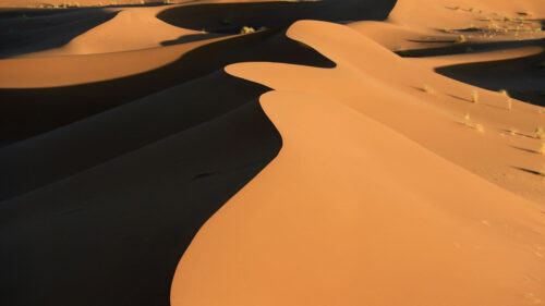Desert, Dune, Sand, Wallpapers Free Download For Desktop