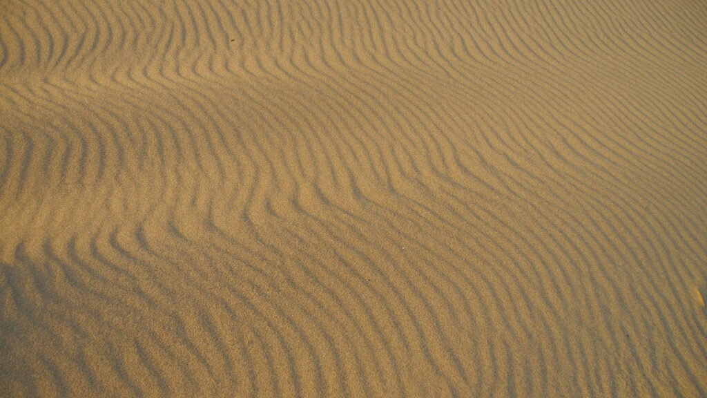Previous