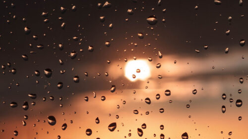 Drops, Glass, Macro, Wallpapers Free Download For Desktop