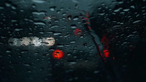 Drops, Macro, Surface, Wallpapers Free Download For Desktop