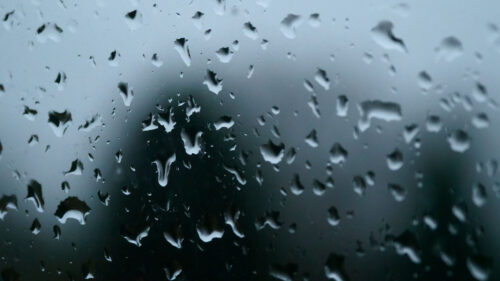 Drops, Rain, Glass, Wallpapers Free Download For Desktop