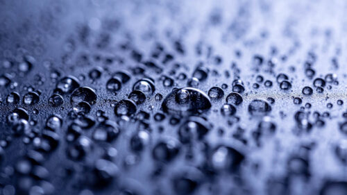 Drops, Water, Surface, Wallpapers Free Download For Desktop