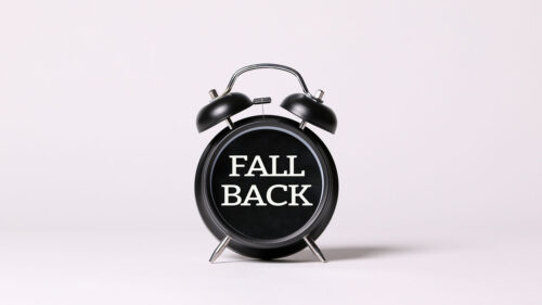 Fall, Back, Words, Inscription, Wallpapers Free Download For Desktop