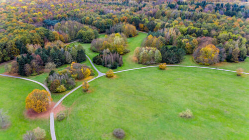 Field, Trees, Paths, Wallpapers Free Download For Desktop