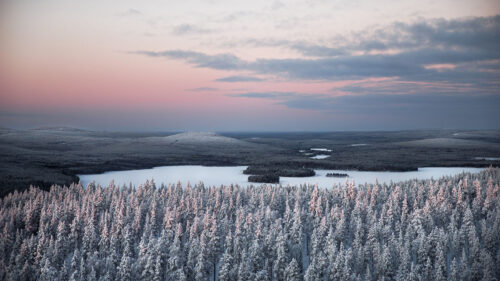 Forest, River, Snow, Wallpapers Free Download For Your Device