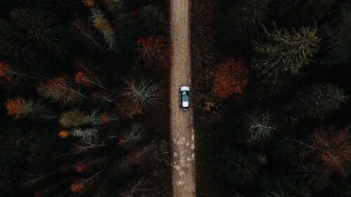 Forest, Road, Car, Wallpapers Free Download For Your Device