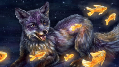 Fox, Fish, Illusion, HD Wallpapers Free Download