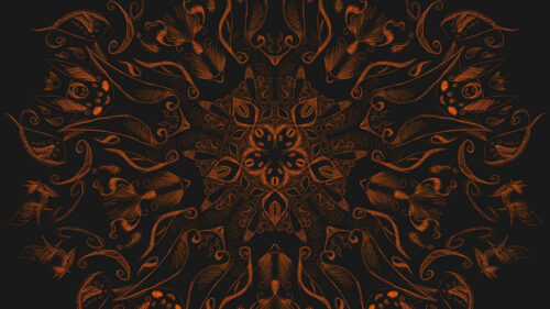 Fractal, Mandala, Pattern, HD Wallpapers Free Download