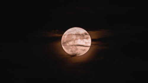 Full Moon, Moon, Clouds, HD Wallpapers Free Download