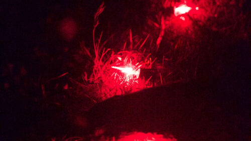 Garland, Light, Bulbs, HD Wallpapers Free Download