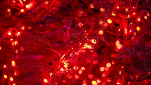 Garland, Lights, Glow, HD Wallpapers Free Download