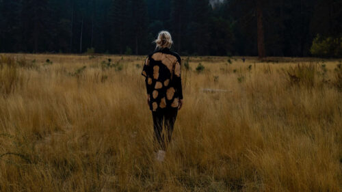 Girl, Alone, Nature, HD Wallpapers Free Download
