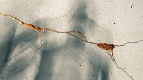 Glass, Cranny, Stains, HD Wallpapers Free Download