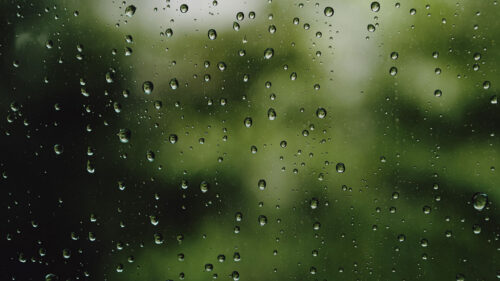 Glass, Drops, Rain, HD Wallpapers Free Download (2)