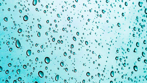 Glass, Drops, Wet, HD Wallpapers Free Download (3)