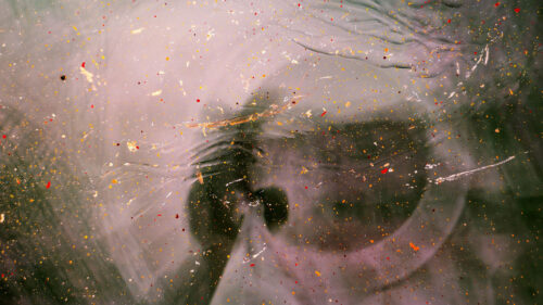 Glass, Paint, Stains, HD Wallpapers Free Download (2)
