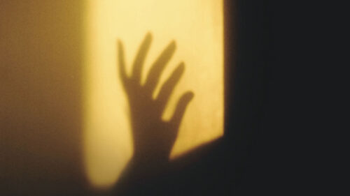 Hand, Shadow, Wall, HD Wallpapers Free Download