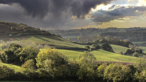 Hills, Fields, Trees, Wallpapers Free Download