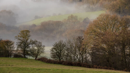 Hills, Trees, Fog, Wallpapers Free Download