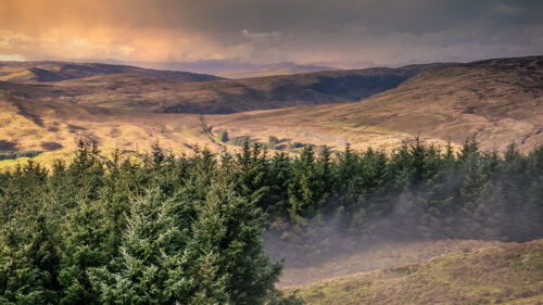Hills, Trees, Landscape, Wallpapers Free Download