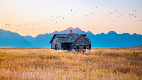 House, Field, Mountains Wallpapers Free Download