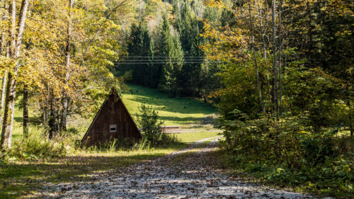 Hut, Road, Trees, Wallpapers Free Download