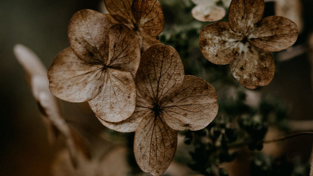 Next