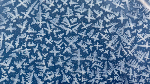 Ice, Frost, Macro, Wallpapers Free Download
