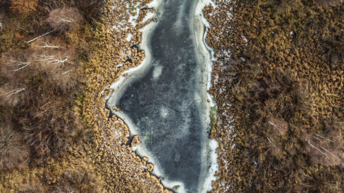 Lake, Forest, Aerial, View Wallpapers Free Download
