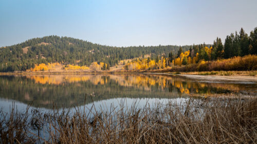 Lake, Forest, Hills Wallpapers Free Download
