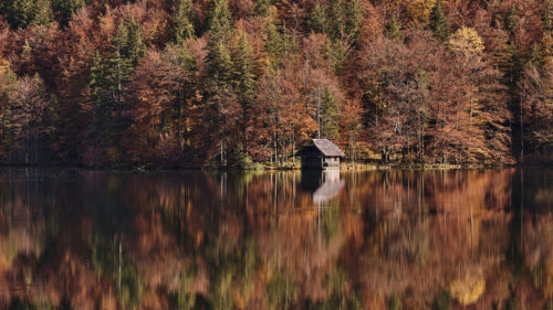 Lake, Forest, Hut Wallpapers Free Download