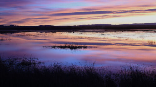 Lake, Grass, Dusk Wallpapers Free Download