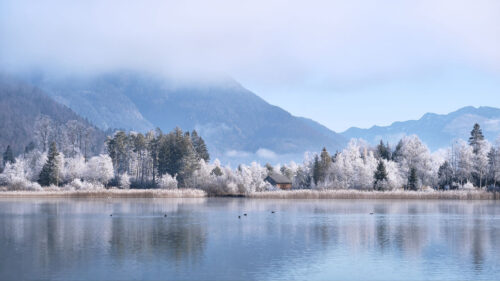 Lake, House, Trees Wallpapers Free Download