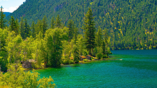 Lake, Houses, Forest Wallpapers Free Download