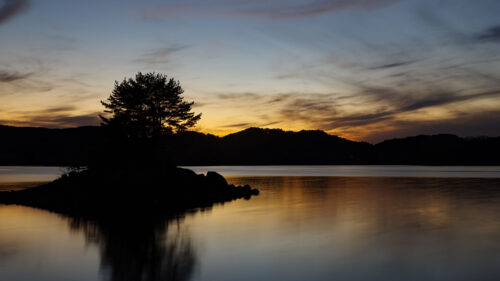Lake, Island, Tree Wallpapers Free Download