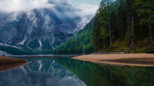Lake, Mountain, Forest Wallpapers Free Download