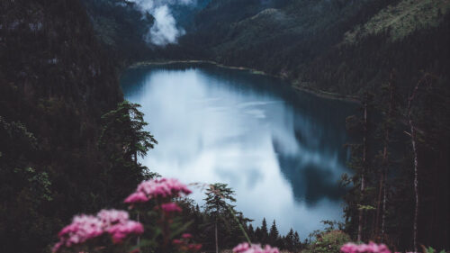 Lake, Mountains, Fog Wallpapers Free Download