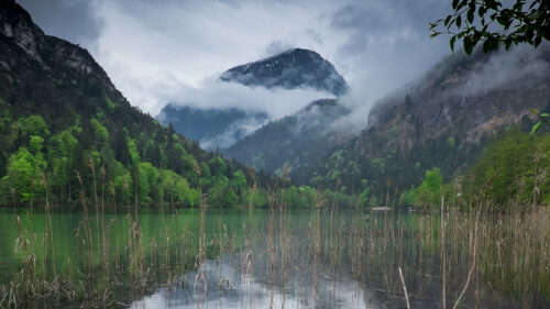 Lake, Mountains, Forest Wallpapers Free Download