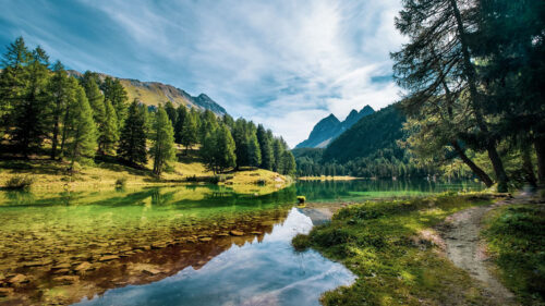 Lake, Mountains, Trees, Wallpapers Free Download