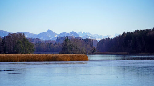 Lake, Mountains, Trees Wallpapers Free Download (2)