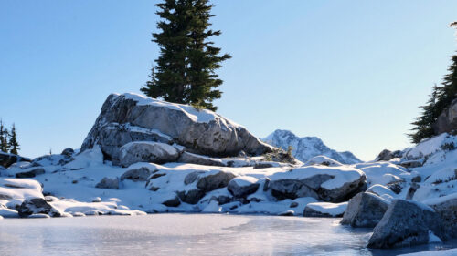 Lake, Rock, Tree Wallpapers Free Download