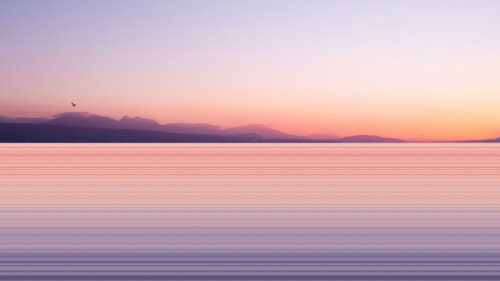 Lake, Shore, Bird Wallpapers Free Download