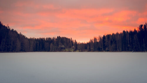 Lake, Shore, Forest Wallpapers Free Download