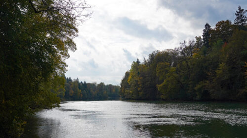 Lake, Trees, Branches, Wallpapers Free Download
