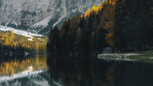Lake, Trees, Mountain Wallpapers Free Download (2)