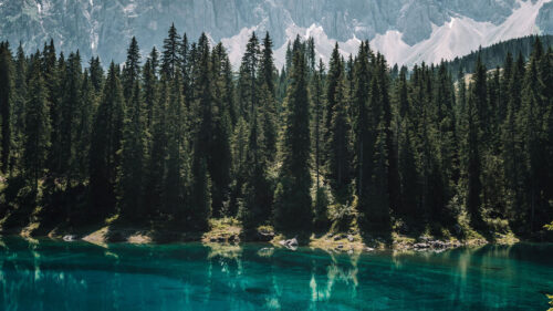 Lake, Trees, Mountains Wallpapers Free Download