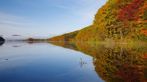 Lake, Trees, Reflection Wallpapers Free Download